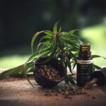 CBD et inflammation