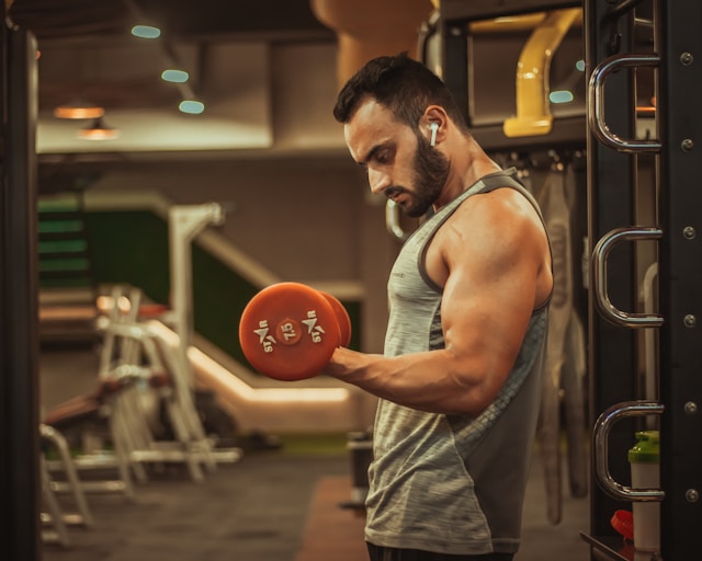 Repas musculation