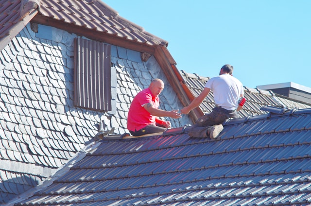 rénovation de toiture