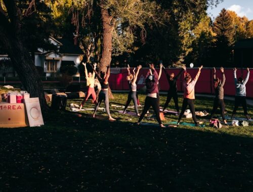 séance de fitness